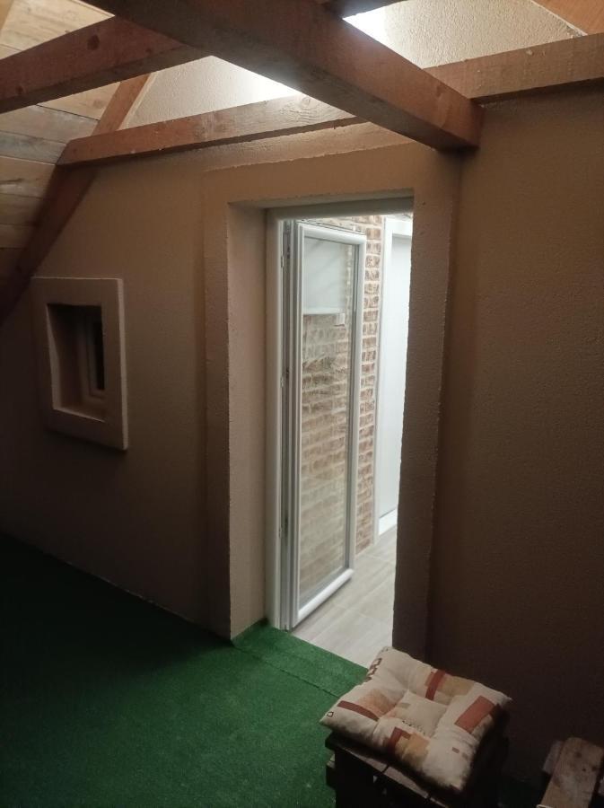 Apartmani Marija Zemun Zemun Polje Екстериор снимка