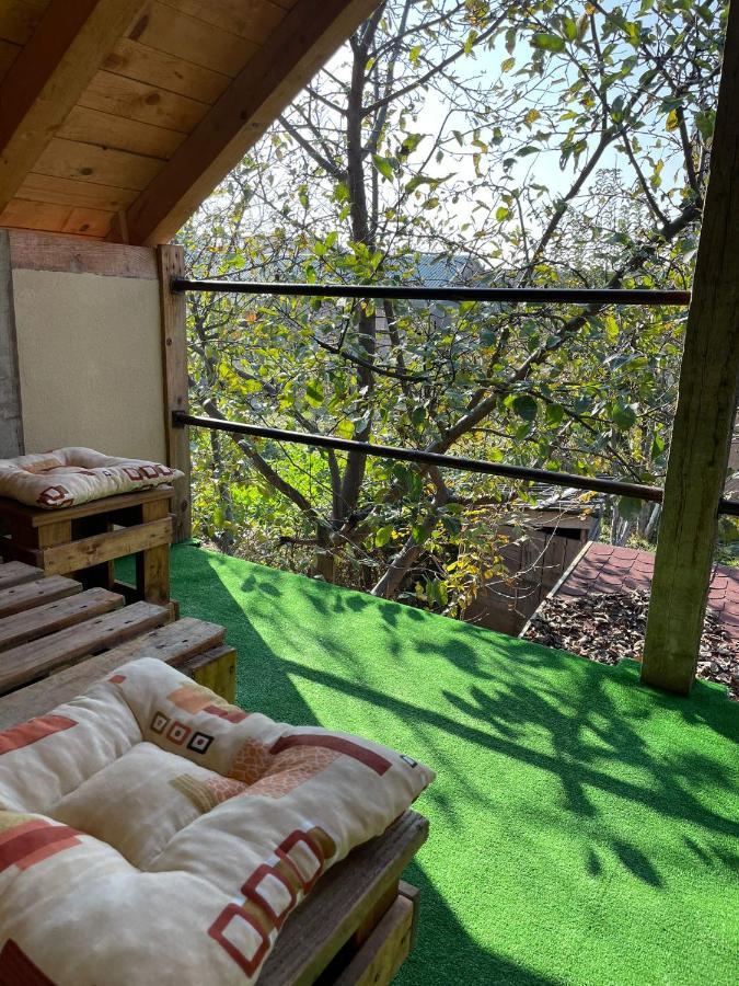 Apartmani Marija Zemun Zemun Polje Екстериор снимка