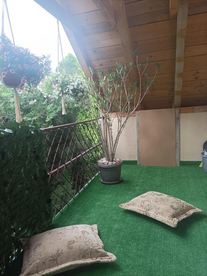 Apartmani Marija Zemun Zemun Polje Екстериор снимка