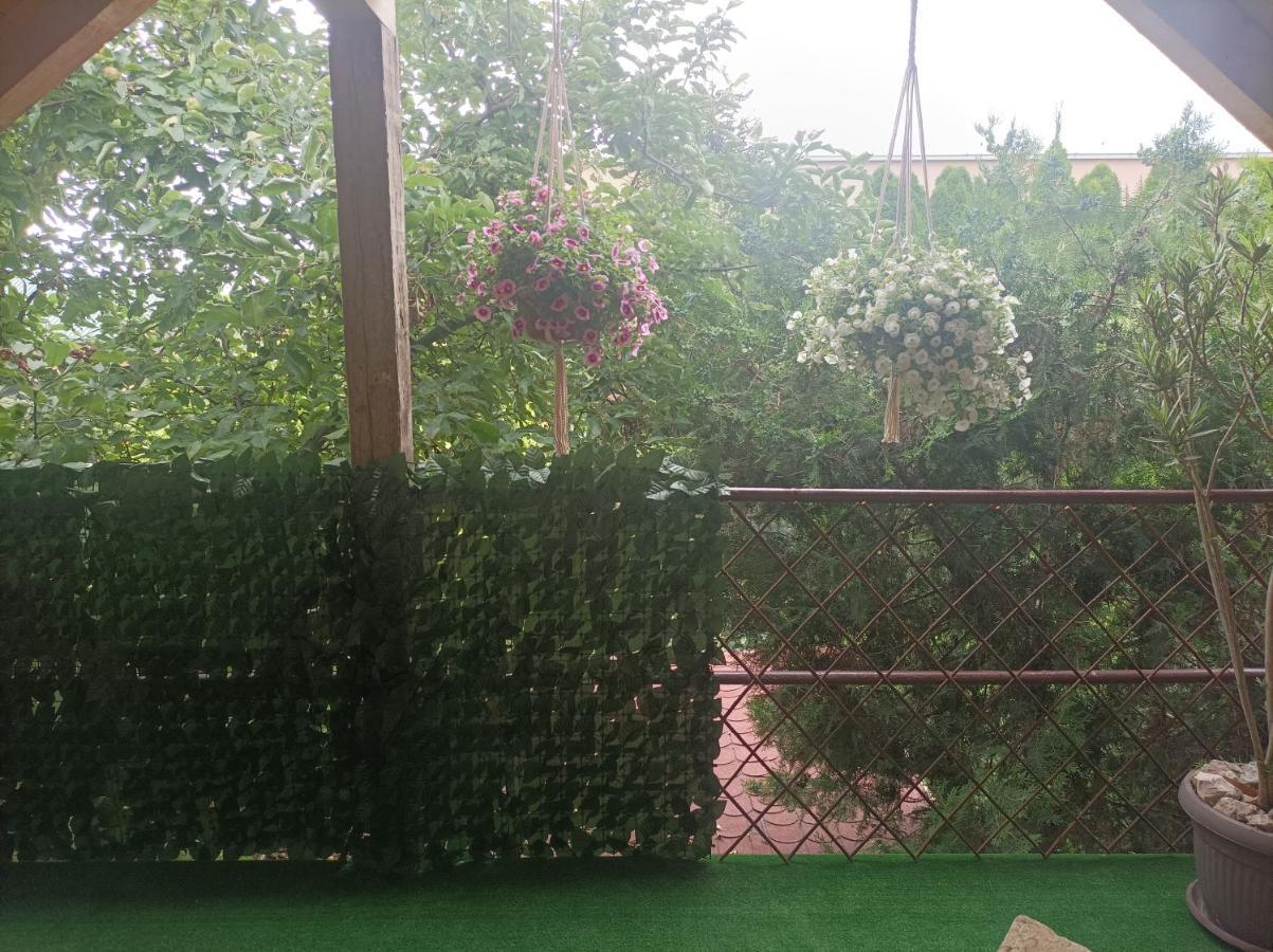 Apartmani Marija Zemun Zemun Polje Екстериор снимка